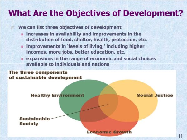 ECO. 361 Online Discussion/Quiz–19-12-2022 (Understanding the fundamentals  of Development) - Success Tonics Blog